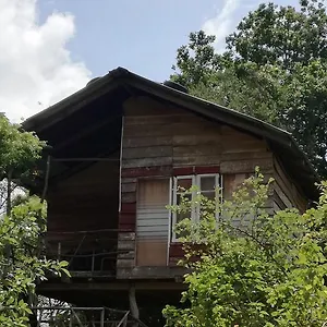 Resort Sigiri Forest View 